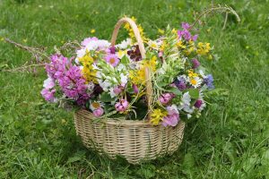 bouquet de fleurs multicolores